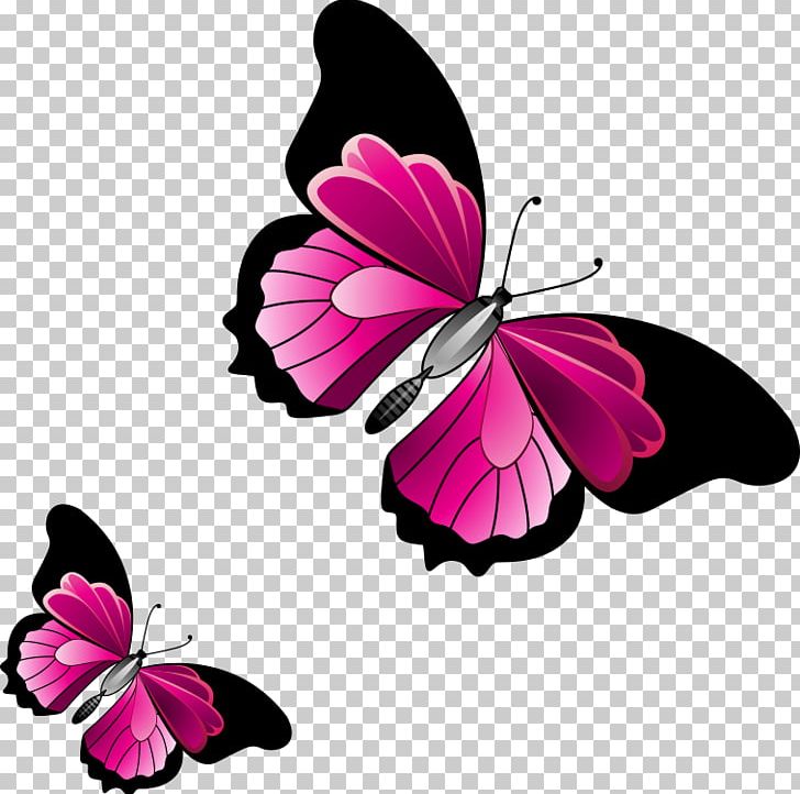 Monarch Butterfly PNG, Clipart, Blue Butterfly, Brush Footed Butterfly, Butterflies, Butterfly, Butterfly Group Free PNG Download