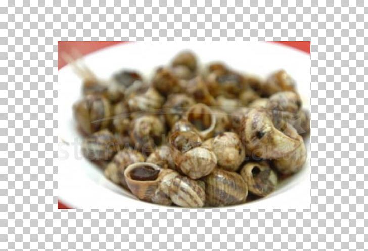 Cockle Vegetarian Cuisine Escargot Recipe Ingredient PNG, Clipart, Animal Source Foods, Balzan, Clam, Clams Oysters Mussels And Scallops, Cockle Free PNG Download