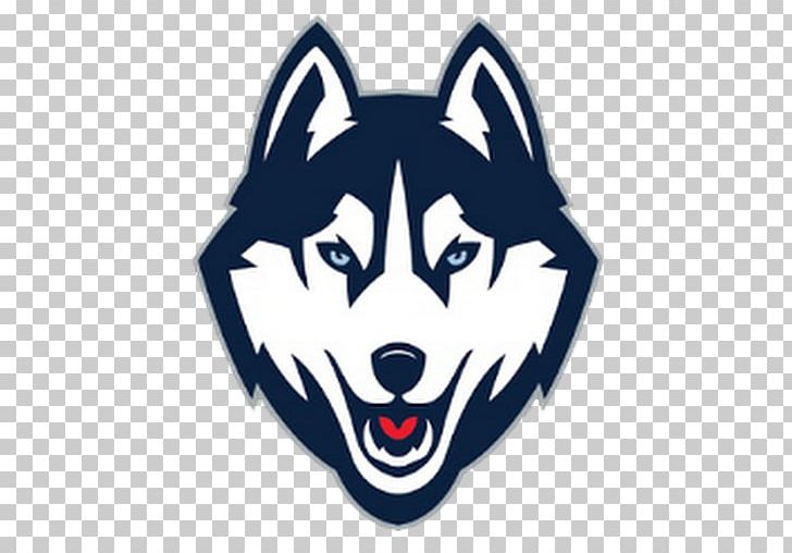 University Of Connecticut Connecticut Huskies Men's Basketball Connecticut Huskies Women's Basketball Connecticut Huskies Men's Ice Hockey NCAA Men's Division I Basketball Tournament PNG, Clipart,  Free PNG Download