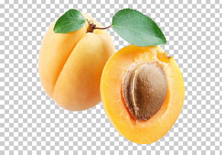 Apricot Computer Icons PNG, Clipart, Apricot, Computer Icons, Desktop Wallpaper, Diet Food, Dried Apricot Free PNG Download