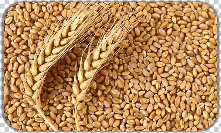 Atta Flour Common Wheat Gristmill Cereal Wheat Flour PNG, Clipart, Atta Flour, Bread, Cereal, Cereal Germ, Chapati Free PNG Download