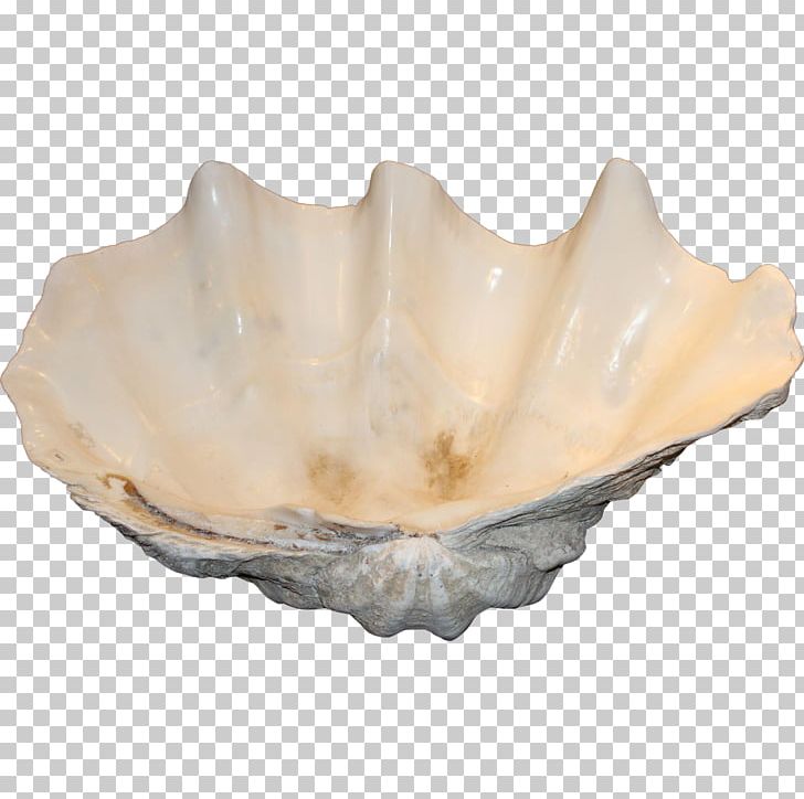 Clam Soap Dishes & Holders Mussel Oyster Tableware PNG, Clipart, Animals, Bathroom, Bathroom Sink, Bowl, Clam Free PNG Download