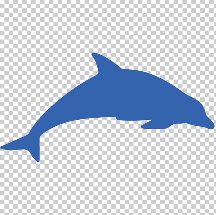 Dolphin Computer Icons Cetacea Whale PNG, Clipart, Animals, Beak, Blog, Cetacea, Common Bottlenose Dolphin Free PNG Download