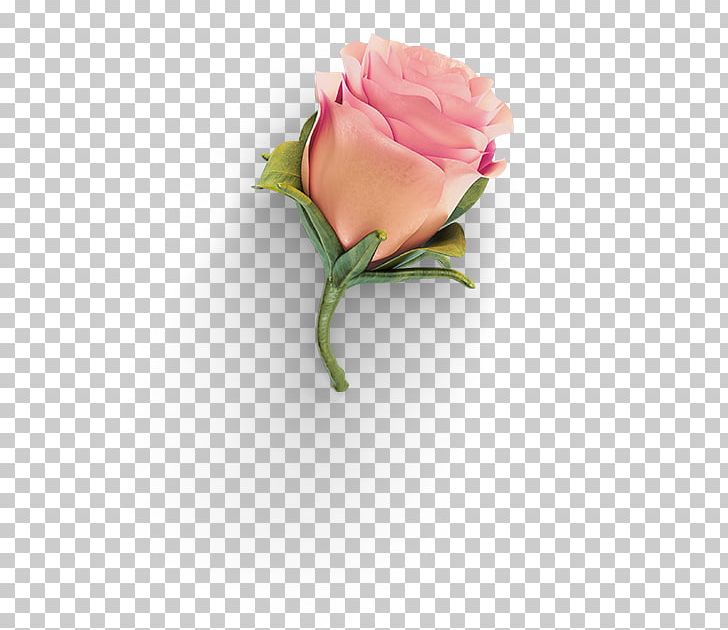 Garden Roses Grid PNG, Clipart, Art, Bud, Cut Flowers, Download, Floral Design Free PNG Download