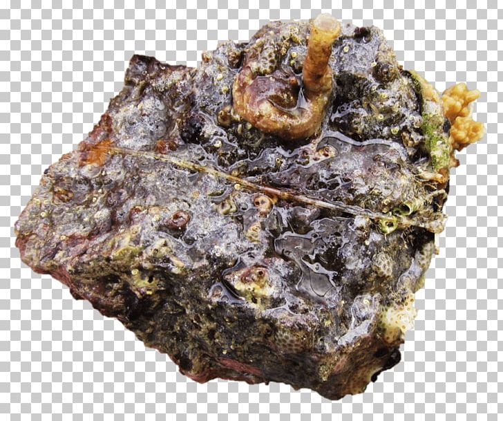 Mineral Igneous Rock PNG, Clipart, Igneous Rock, Mineral, Nano Aquarium, Rock Free PNG Download