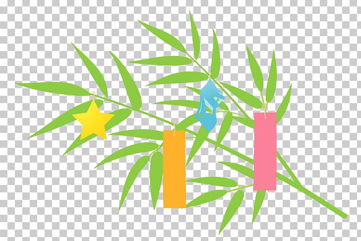 Qixi Festival Tanabata Sasa Tanzaku PNG, Clipart, Branch, Grass, Grasses, Grass Family, July Free PNG Download