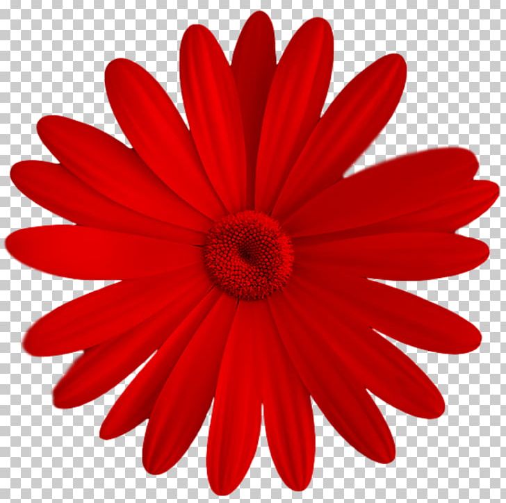 Stock Photography PNG, Clipart, Art, Business, Chrysanths, Cut Flowers, Daisy Free PNG Download