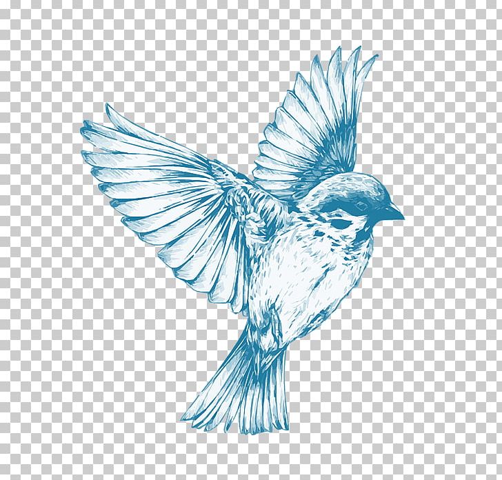 Bird Drawing Art Sketch PNG, Clipart, Animals, Art, Art Museum, Beak, Bird Free PNG Download