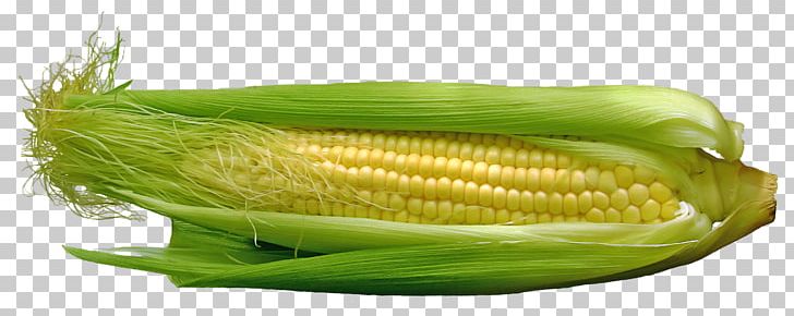 Corn On The Cob Maize Vegetable Food PNG, Clipart, Baby Corn, Commodity, Corn, Corncob, Corn Kernel Free PNG Download