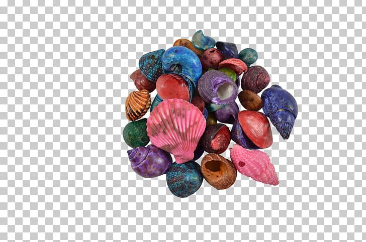 The Seashell Company Bead Craft Kilogram PNG, Clipart, Animals, Bead, Craft, Fashion Accessory, Gallon Free PNG Download