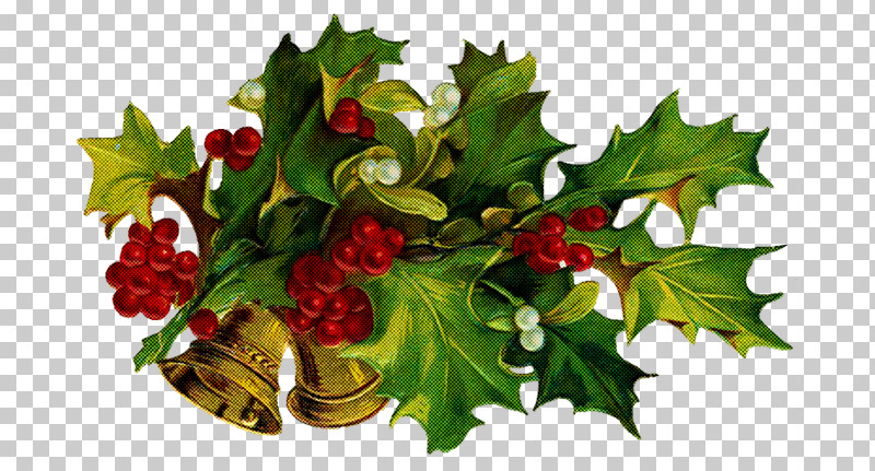Holly PNG, Clipart, American Holly, Branch, Chinese Hawthorn, Flower, Grape Leaves Free PNG Download