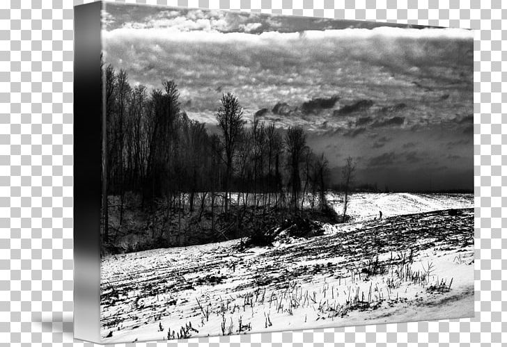 Monochrome Photography Frames PNG, Clipart, Black And White, Inlet, Landscape, M083vt, Miscellaneous Free PNG Download