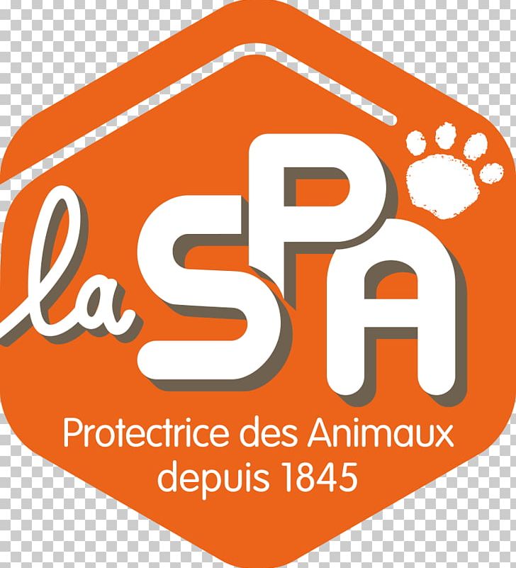 Société Protectrice Des Animaux Dispensary SPA Marseille Animal Shelter Cat SPA Chamarande PNG, Clipart, Animal Shelter, Area, Brand, Cat, Dog Free PNG Download
