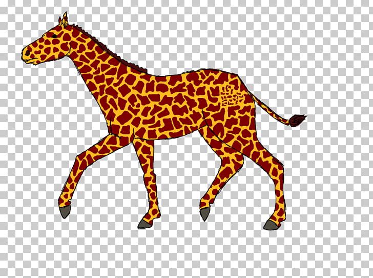 Giraffe Horse Cat Terrestrial Animal Neck PNG, Clipart, Animal, Animal Figure, Animals, Big Cat, Big Cats Free PNG Download