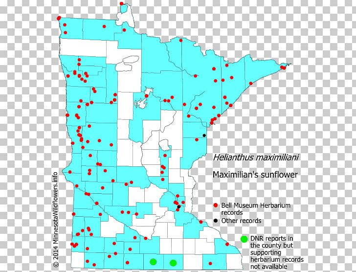 Minnesota Spotted Joe-pye Weed Perennial Sow Thistle Map Noxious Weed PNG, Clipart, Area, Common Couch, Diagram, Invasive Species, Line Free PNG Download