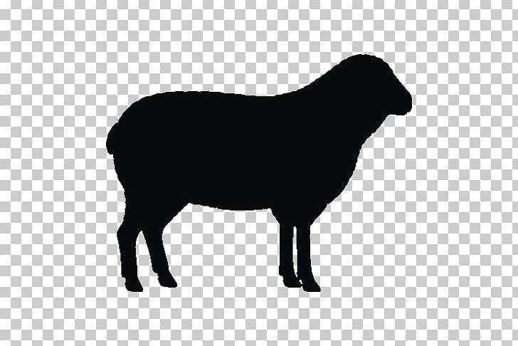 Angus Cattle Calf Red Angus Ox PNG, Clipart, Beef, Beef Cattle, Black, Black And White, Calf Free PNG Download