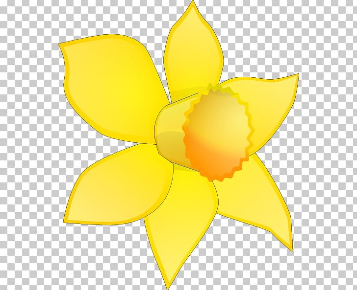 Daffodil Flower Free Content PNG, Clipart, Blog, Cartoon, Cut Flowers, Daffodil, Daffodil Pictures Free PNG Download