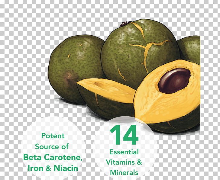 Lucuma Vanilla Fruit Sprouting Superfood PNG, Clipart, Cucumber Gourd And Melon Family, Cucurbita, Food, Food Drinks, Fruit Free PNG Download