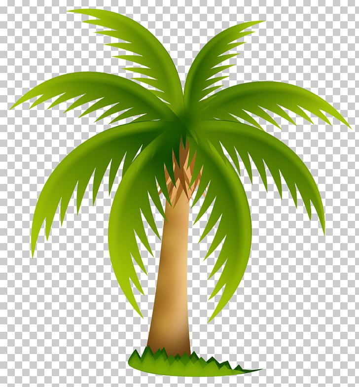 Arecaceae Date Palm Sabal Palm PNG, Clipart, Arecaceae, Arecales, Blog, Coconut, Date Palm Free PNG Download