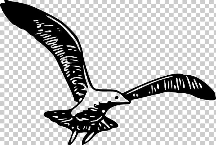 Bird Gulls Wing PNG, Clipart, Animals, Beak, Bird, Black And White, Clip Art Free PNG Download