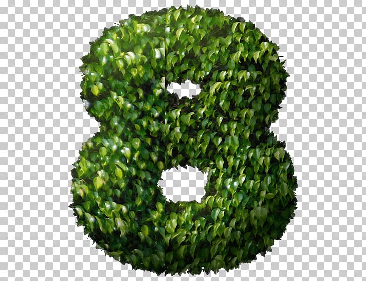 Green PNG, Clipart, Grass, Green, Ikan Koi, Tree Free PNG Download