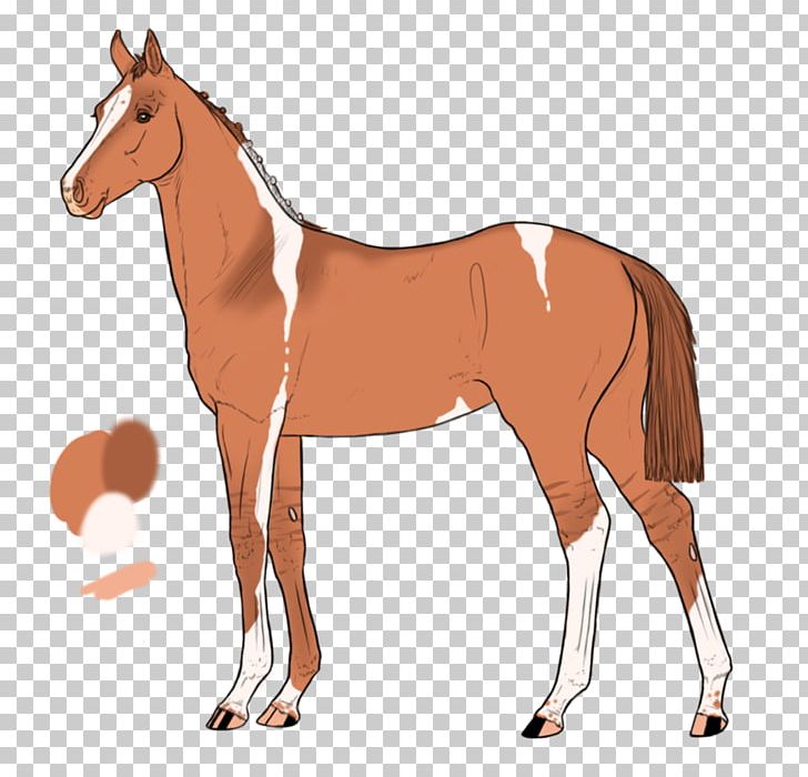 Mule Foal Stallion Mare Colt PNG, Clipart, Animal Figure, Bridle, Cartoon, Colt, Foal Free PNG Download