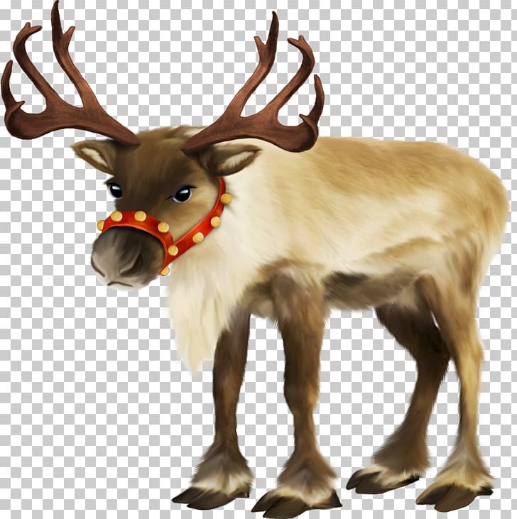 Santa Claus Reindeer Sled PNG, Clipart,  Free PNG Download