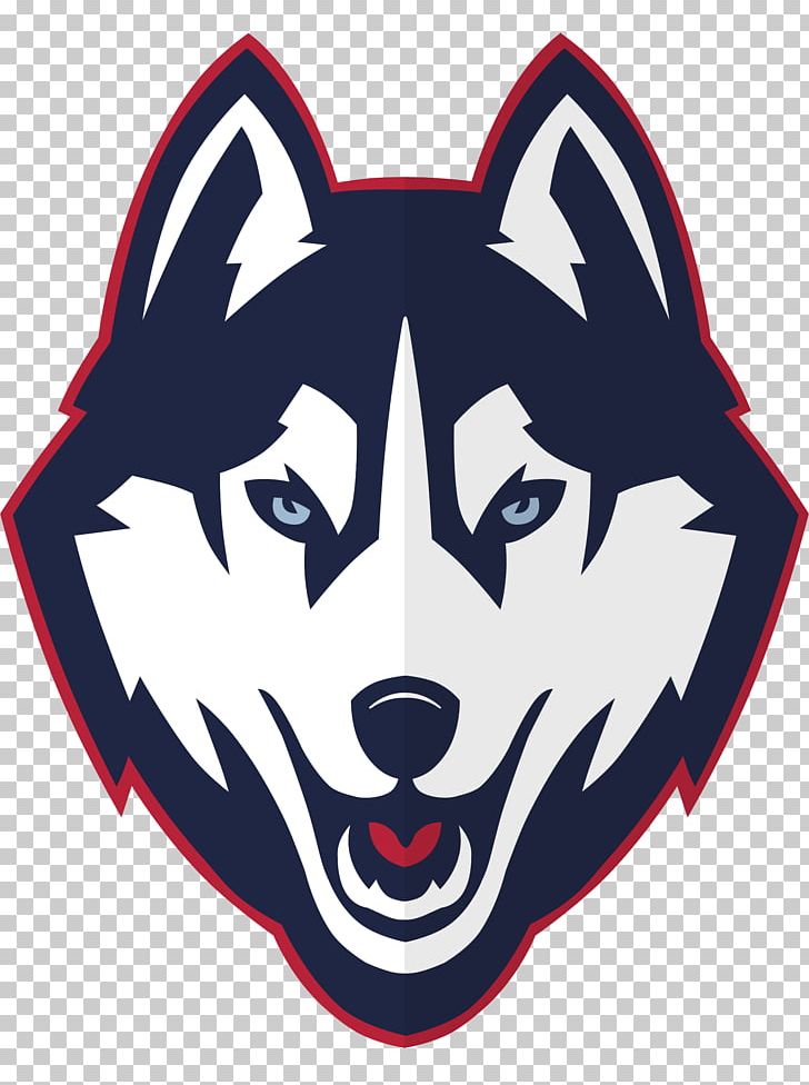 University Of Connecticut Connecticut Huskies Men's Basketball Connecticut Huskies Football Connecticut Huskies Women's Basketball Logo PNG, Clipart, Animals, Artwork, Carnivoran, College, Division I Ncaa Free PNG Download