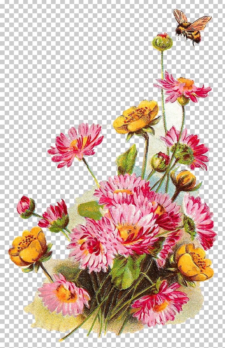 Wildflower PNG, Clipart, Annual Plant, Antique, Chrysanths, Clip Art, Cut Flowers Free PNG Download