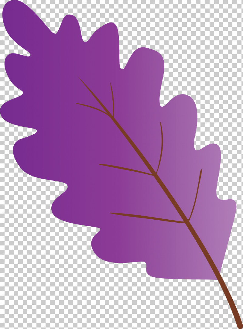 Leaf Purple Violet Plant Tree PNG, Clipart, Flower, Leaf, Plant, Purple, Tree Free PNG Download