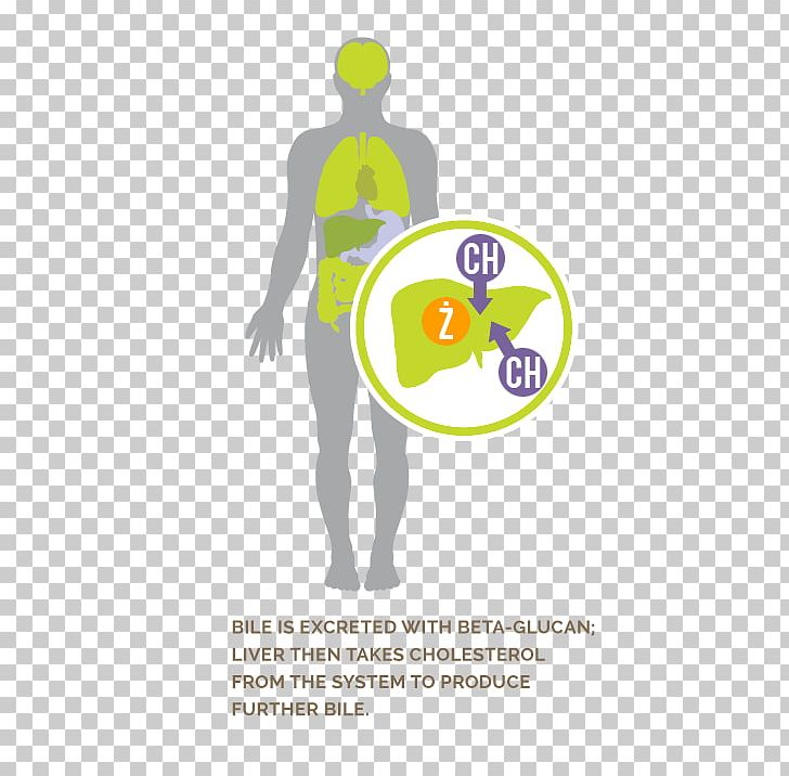 Beta-glucan Illustration Logo Poster PNG, Clipart, Area, Behavior, Betaglucan, Brand, Communication Free PNG Download