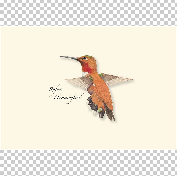 Earth Sky + Water Greeting & Note Cards Paper Envelope Bird PNG, Clipart, Beak, Bird, David Allen Sibley, Envelope, Fauna Free PNG Download