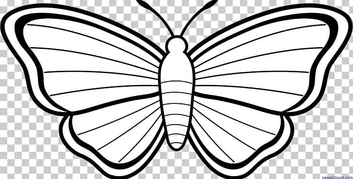 monarch butterfly coloring book adult drawing png clipart