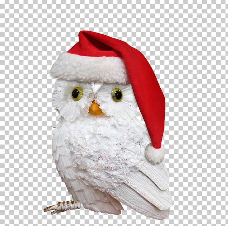 Owl Bird Santa Claus Christmas PNG, Clipart, Advent, Animal, Animals, Beak, Bird Free PNG Download