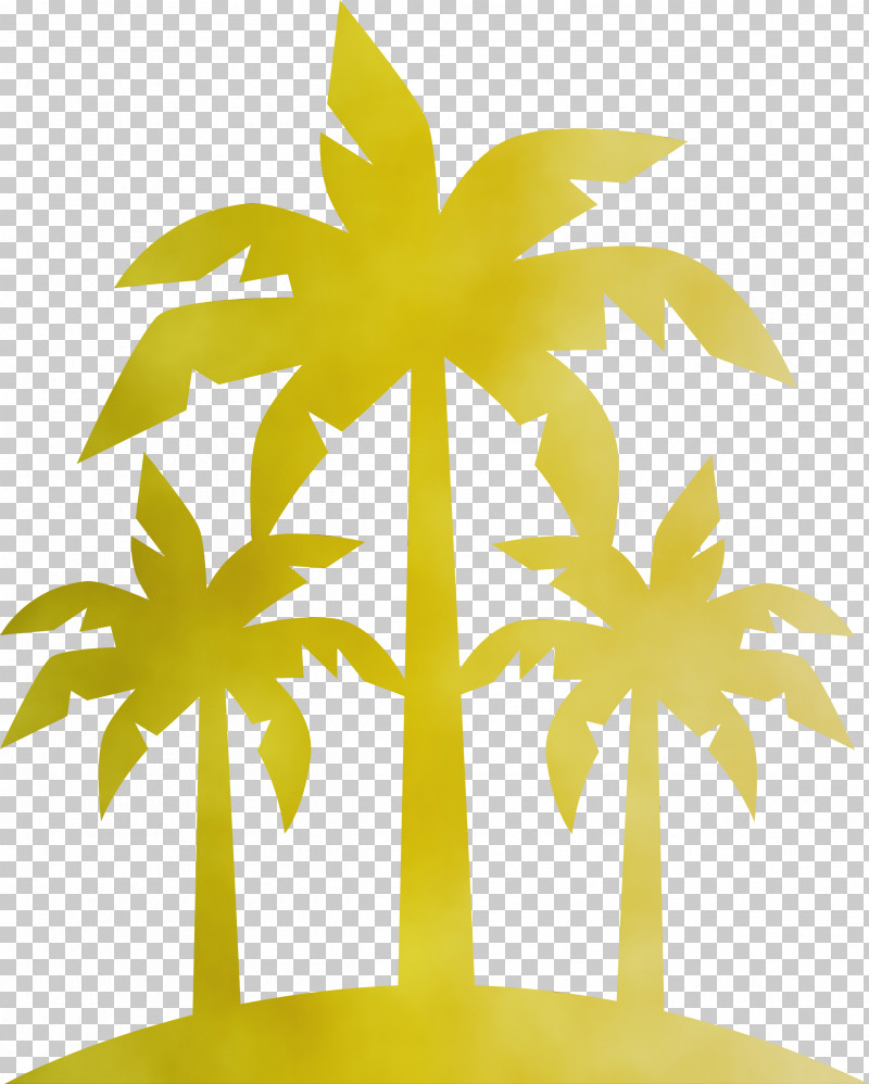 Palm Trees PNG, Clipart, Beach, Biology, Branch, Com, Flower Free PNG Download