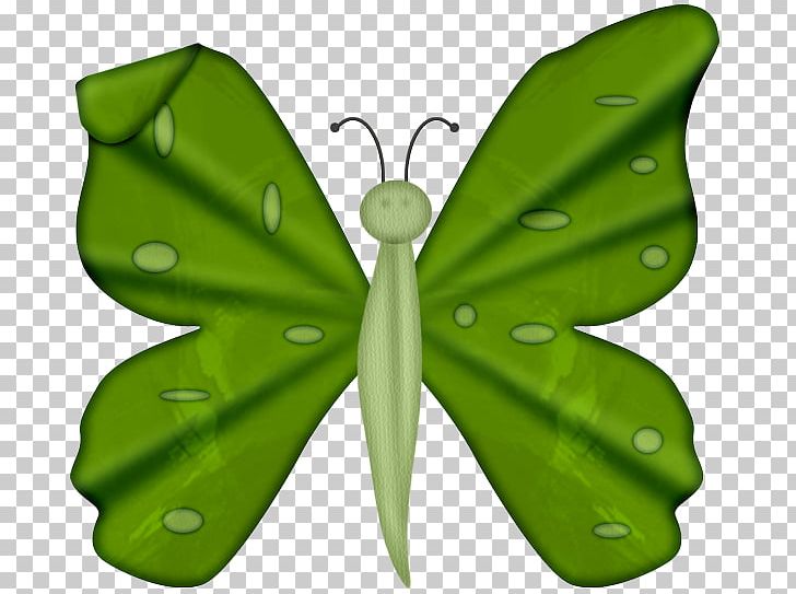 Butterflies And Moths Drawing PNG, Clipart, 13 August, Arthropod, Author, Brush Footed Butterfly, Butterflies And Moths Free PNG Download