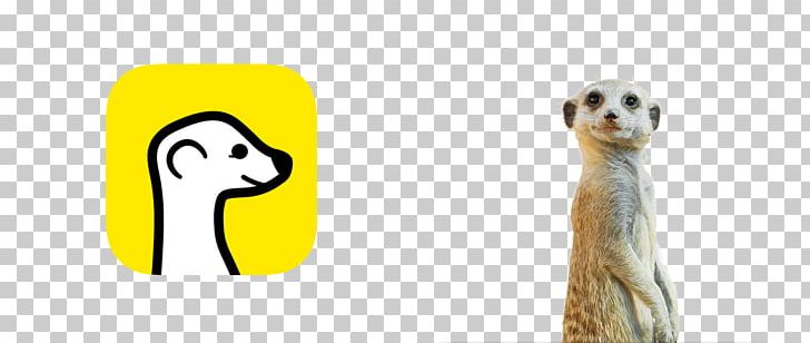 Compare The Meerkat Logo PNG, Clipart, Art, Carnivora, Carnivoran, Compare The Meerkat, Finger Free PNG Download