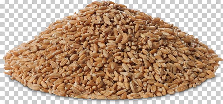 Oat Cereal Germ Whole Grain Spelt PNG, Clipart, Bran, Cereal, Cereal Germ, Commodity, Common Wheat Free PNG Download