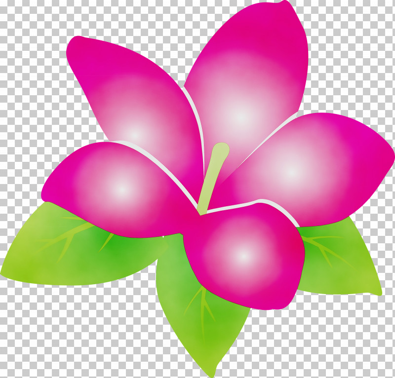 Leaf Cut Flowers Butterflies Petal Flora PNG, Clipart, Biology, Butterflies, Cut Flowers, Flora, Flower Free PNG Download