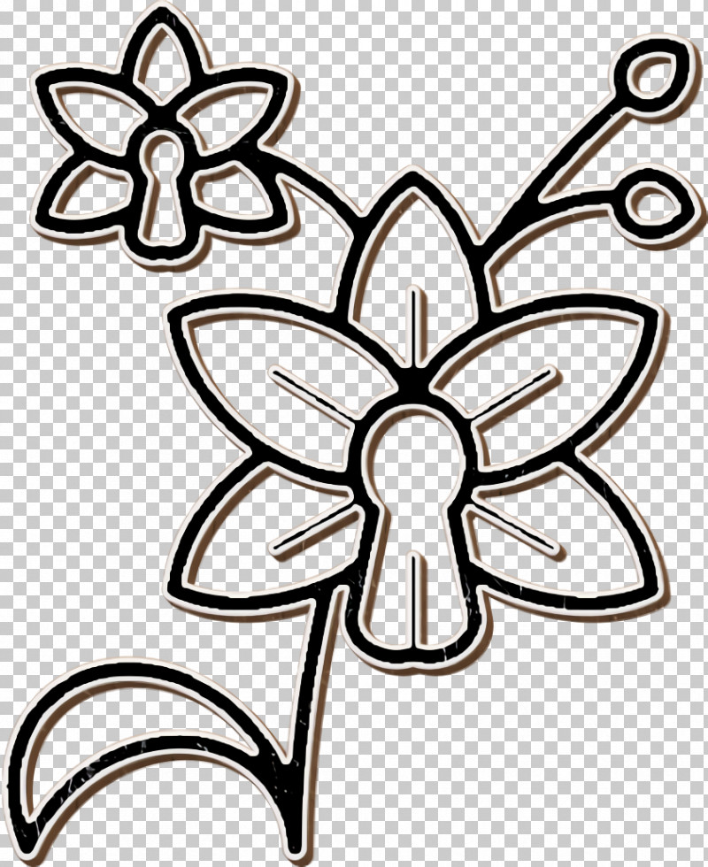 Detailed Flowers Icon Flower Icon Orchid Icon PNG, Clipart, Flower, Flower Icon, Insects, Jewellery, Leaf Free PNG Download