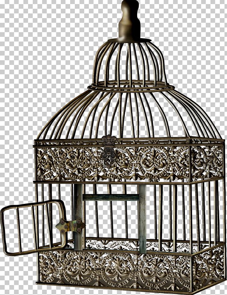Bird Cage Cell PNG, Clipart, Albom, Animals, Animation, Bird, Bird Cage Free PNG Download