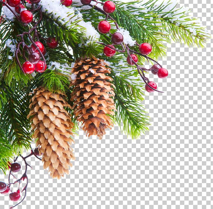 Christmas Tree Christmas Ornament Christmas Decoration Christmas Card PNG, Clipart, Branch, Christmas Card, Christmas Decoration, Christmas Gift, Christmas Lights Free PNG Download