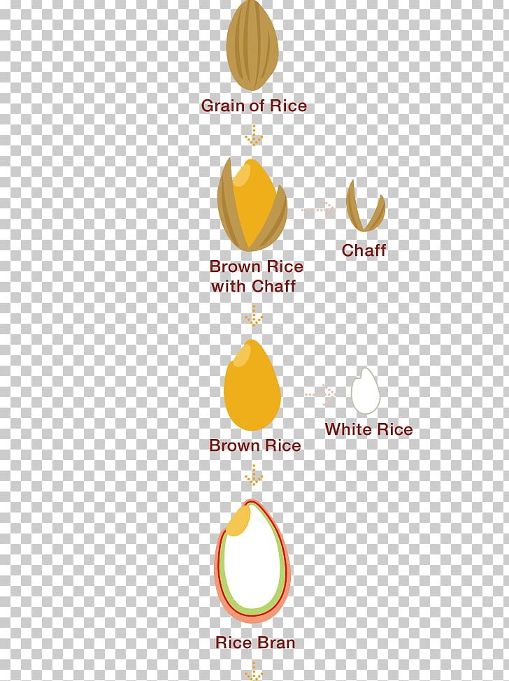 Nutrient Brown Rice Bran Cereal Germ PNG, Clipart, Area, Bran, Brand, Brown Rice, Carbohydrate Free PNG Download