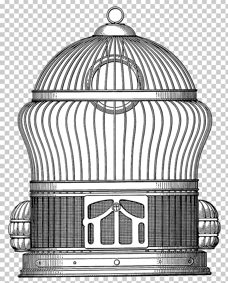 Steampunk Drawing Birdcage PNG, Clipart, Animals, Bird, Bird Cage, Birdcage, Black And White Free PNG Download