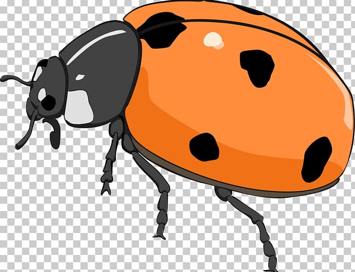 Beetle Ladybird PNG, Clipart, Animals, Artwork, Beetle, Bugs, Cartoon Free PNG Download