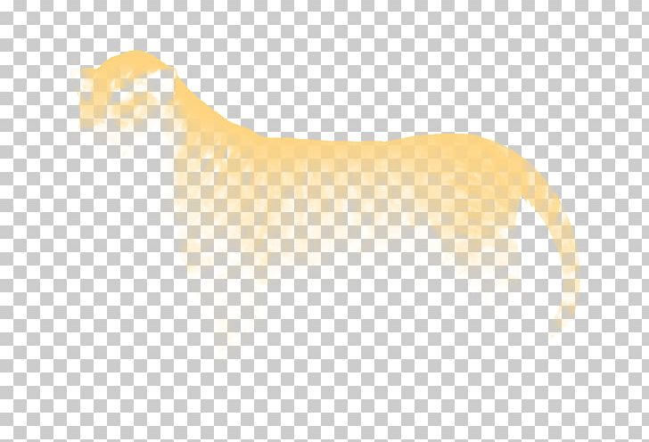 Canidae Cat Dog Snout Mammal PNG, Clipart, Big Cat, Big Cats, Canidae, Carnivoran, Cat Free PNG Download