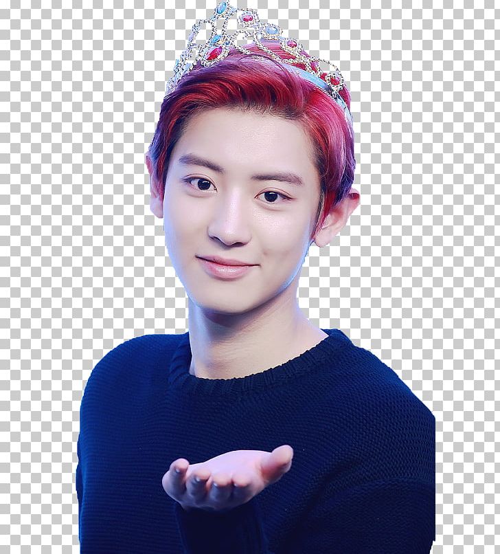 Chanyeol EXO So I Married An Anti-fan K-pop Wolf PNG, Clipart, Animals, Astro, Baby, Bigbang, Bts Free PNG Download