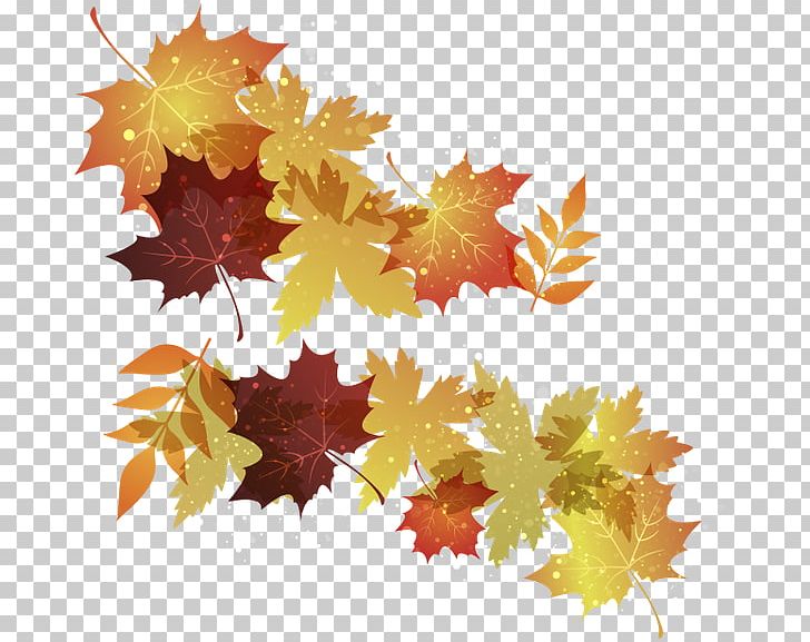 Maple Leaf Autumn Leaves PNG, Clipart, Autumn, Autumn Leaves, Coreldraw, Encapsulated Postscript, Leaf Free PNG Download