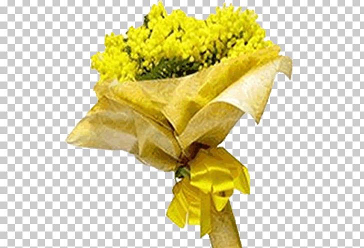 Acacia Dealbata Cut Flowers Rose International Women's Day PNG, Clipart, Acacia, Acacia Dealbata, Common Sunflower, Cut Flowers, Floral Design Free PNG Download