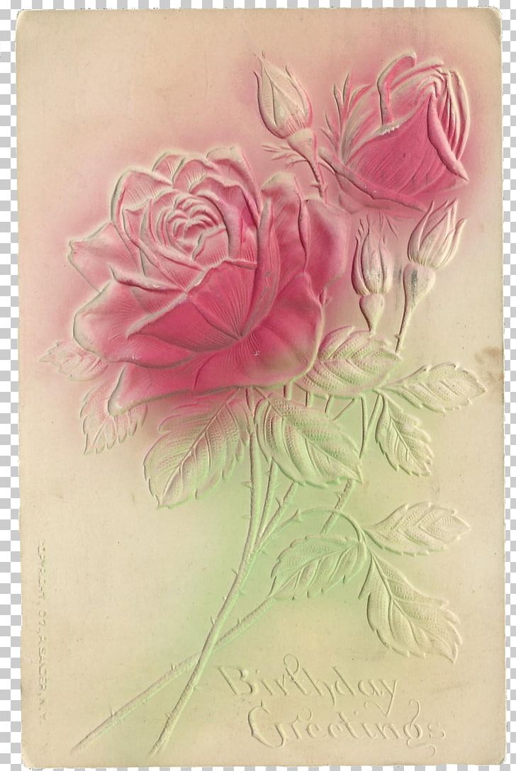 Garden Roses Cabbage Rose Paper Drawing Floral Design PNG, Clipart, Art, Drawing, Embossing, Floral Design, Flower Free PNG Download